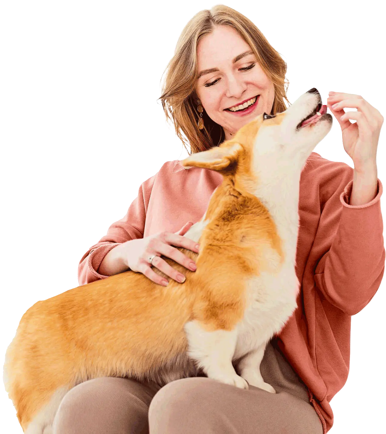 Salvare Clínica Veterinária 24H Barretos